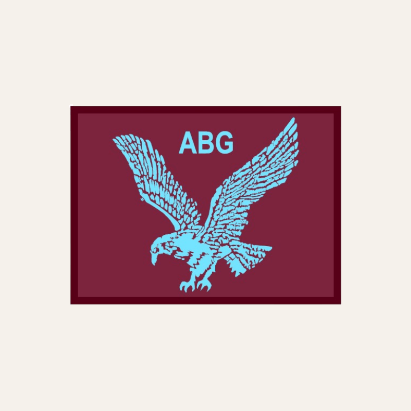 Airborne Battle Group