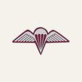 Airborne Lapel Pin