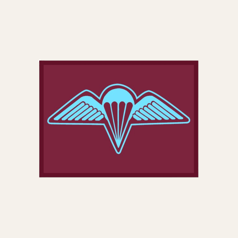 3 RAR Wings Patch