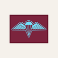 3 RAR Wings Patch