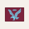 Airborne Battle Group Patch